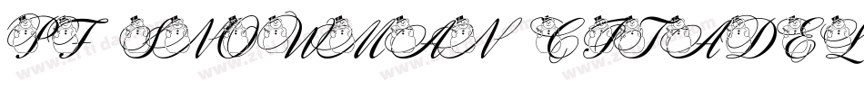 pf_snowman citadel字体转换